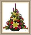 Alante Floral & Gifts Llp, 3602 Slide Rd, Abernathy, TX 79311, (806)_298-2818